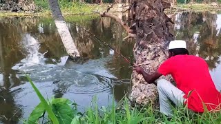 Catching fish with hook  amazing catch fishing videos  fish hunting videos [upl. by Rebah]