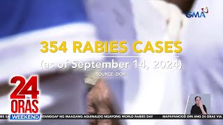 Laban kontrarabies paalala sa publiko ngayong World Rabies Day  24 Oras Weekend [upl. by Cornelius235]