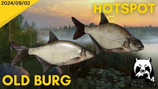 Bream Hotspot Old Burg Russian Fishing 4 [upl. by Sucy]