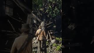 NO SABÍAS QUE ENCONTRARÁS ALGO MUY FUERTE DENTRO DE ESTA CABAÑA EN READ DEAD REDEMPTION 2RDR2 [upl. by Arri]