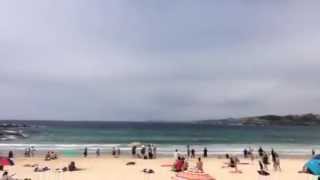 Shark alarm Bondi beach  sydney [upl. by Bevers]