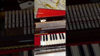 11 Scale Changer standing Harmonium With 3 Line Palitana MJM Premier Reeds Contact 91 9832342906 [upl. by Gettings]