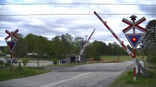 Spoorwegovergang Rønde DK  Railroad crossing  Jernbaneoverskæring [upl. by Eigroeg]