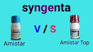 syngenta  Amistar Vs Amistar Top fungicide syngenta [upl. by Lydia]