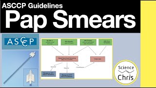 Pap Smear Guidelines ASCCP [upl. by Latsyrd829]