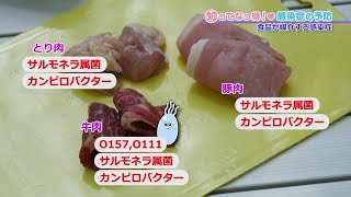 【O157など】食品が媒介する感染症「知ってなっ得！感染症の予防＃８その３」 [upl. by Linetta953]