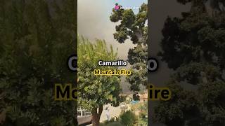 Mountain Fire Rages Through Somis and Camarillo Heights news fire [upl. by Kriste]