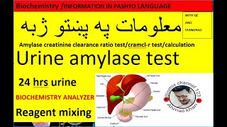 Urine amylase testurine amylase creatinine clearance ratio testcramclr test in pashto [upl. by Atreb]