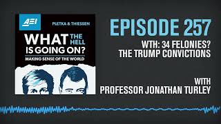 34 Felonies Professor Jonathan Turley Explains the Trump Convictions  WHAT THE HELL [upl. by Stephie]