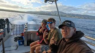 Oahu Odyssey Shark Diving with One Ocean  Waimea Bay  Surfing Chuns Reef  November 1 2024 [upl. by Nahor434]