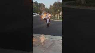 Mailwoman Walks Across Street To Reward Lab Patiently Waiting dog doglovers labradorretriever [upl. by Orth]