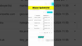 Blazor QuickGrid Filtering Pagination Sorting  dotnetcore blazor [upl. by Notnyw787]