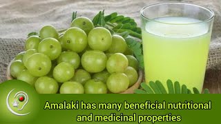 Amalaki has many beneficaial nutritional and Medicinal properties [upl. by Surad259]