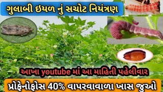 કપાસમાં ગુલાબી ઈયળ નું નિયંત્રણ કેવી રીતે કરવું  gulabi eyal ni dava100 નિયંત્રણ  Pink Bollworm [upl. by Arelc]