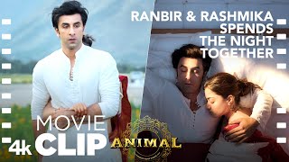 ANIMAL SCENE 6 Ranbir amp Rashmika Spends the Night Together😊Ranbir K RashmikaSandeep VBhushan K [upl. by Divd]