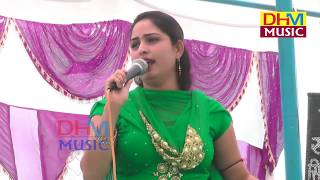 गोरी रानी  Gori Rani  Nangal Choti Program 2017 DHM Music [upl. by Aneelak90]