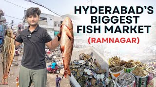 Ramnagar largest fish market 🐠 in Telangana exploringbiggest fish market in Hyderabad [upl. by Tully632]