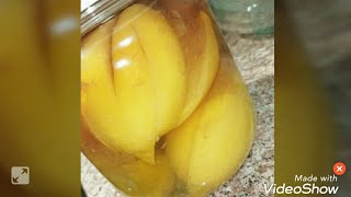 How to make Preserved Lemons Pickled Lemons Fermented Lemons [upl. by Auburta]