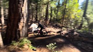 The Highlights Nevada primo dirt ride [upl. by Truman]