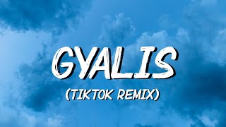 Capella Grey  GYALIS TikTok Remix Lyrics  like what is the reason its just a vibe im that guy [upl. by Ientirb445]