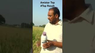 SYNGENTA AMISTAR TOP FARMER REVIEW shorts drone 🥰 [upl. by Anha]