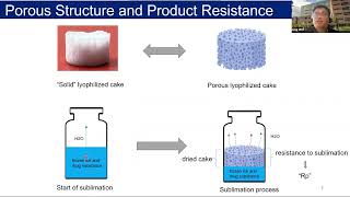 Sensitivity of Lyophilization Rate and Porous Structure to Small Changes in Freezing [upl. by Adian]