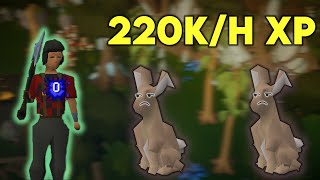 OSRS Easy 2t Woodcutting Guide [upl. by Fogel339]