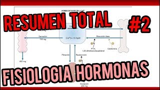 FISIOLOGIA DEL SISTEMA ENDOCRINO Glándulas y hormonas  PARTE 2 [upl. by Arria]