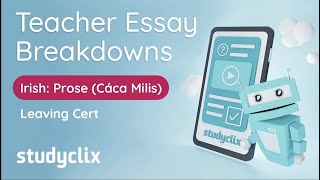 Cáca Milis  Essay Breakdown by Expert Examiner Leaving Cert Irish Prose [upl. by Berti250]