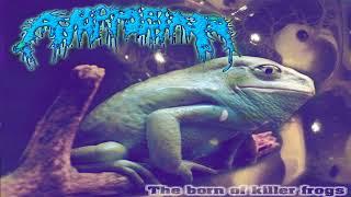 Amphibian  Legion of poison FULL ALBUM SPLIT [upl. by Benzel]