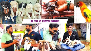 PET SHOP IN TRICHY TAMIL  DOG SALE TAMIL  BIRDRABBIT FOR SALE IN TRICHY TAMIL [upl. by Pilihp]