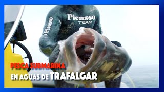 ✅🔝10 Pesca SUBMARINA en aguas de TRAFALGAR ⚓️SUSCRIBETE [upl. by Ahsiner]