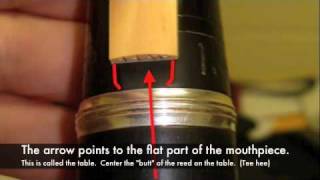 Clarinet Reed Placement [upl. by Wylen331]