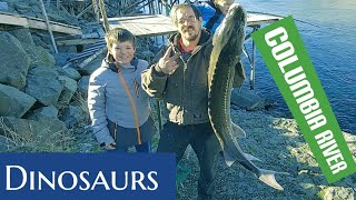 catching Columbia River sturgeon at the base of the john day dam [upl. by Ettenhoj]