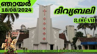 18082024  SUNDAY HOLYMASS  StGeorge Church Perumanoor [upl. by Tezzil]