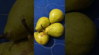 Pear fruit Malayalam  Kadhayum Porulum [upl. by Cumine]