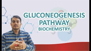 GLUCONEOGENESIS PATHWAY BIOCHEMISTRY [upl. by Ashlan]