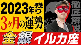 【ゲッターズ飯田】2023年残り3ヶ月の運勢を占う！【金のイルカ座・銀のイルカ座】五星三心占い [upl. by Kwapong]