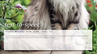 Text to speech by Toolsaday [upl. by Anchie34]