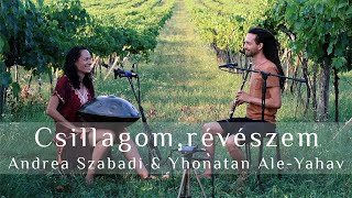 Csillagom révészem  hungarian love song  handpan amp flute  Yishama Pantam [upl. by Notlil]