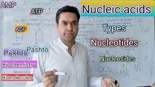 Nucleic acids  Nucleotides  Types of Nucleotides  ATP ADP  AMP Biology class 11 in Pashto [upl. by Breech]