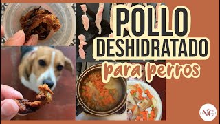 HAZ SNACKS de POLLO DESHIDRATADO para PERROS  Rápido y saludable🍗🐶 [upl. by Aaberg325]