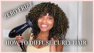 How To Diffuse Natural Curly Hair  NO FRIZZ  Tips amp Tricks [upl. by Ainocal]