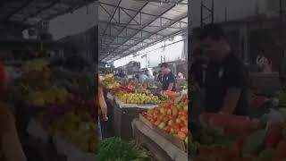 FEIRA DE FRUTAS E VERDURAS SURUBIM PERNAMBUCO Part1 [upl. by Phyllida]