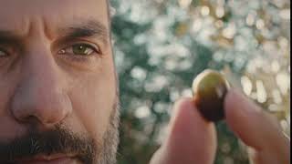 The Filippo Berio Olive Oil Advertisement [upl. by Gaillard]