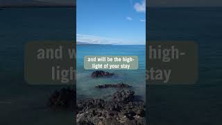 🌴 Westin Hapuna Beach Resort—mini tour bigisland hawaii [upl. by Nnaj]