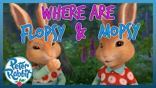 OfficialPeterRabbit  🔎🐰🐰 Where are Flopsy and Mopsy 🐰🐰🔎  COMPILATION  Cartoons for Kids [upl. by Graces]