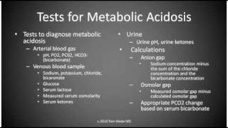 Metabolic Acidosis [upl. by Namaj]