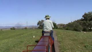 Tamworth Miniature Railway [upl. by Antone]