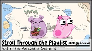 Stroll Through the Playlist a Biology Review [upl. by Tedd522]